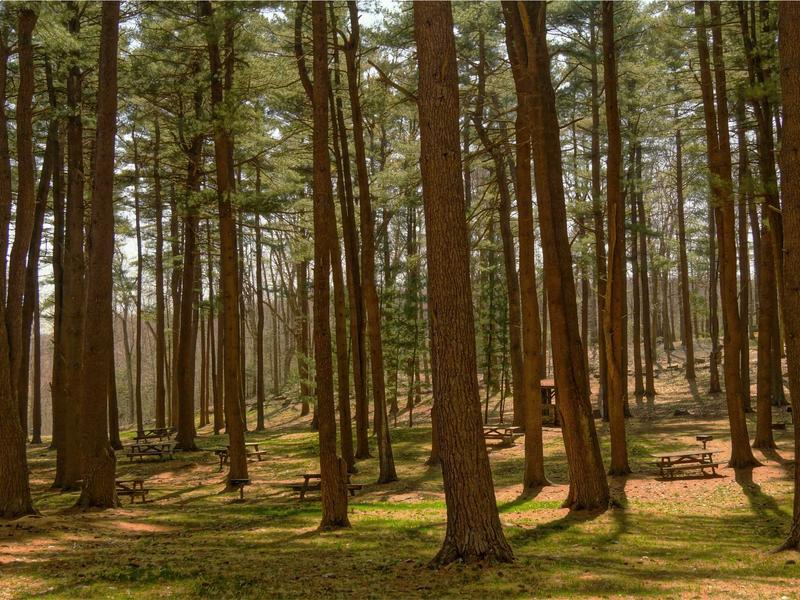 sudoku puzzle bundle screenshot 2