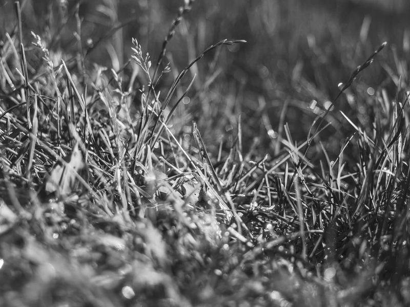 sudoku hidden singles